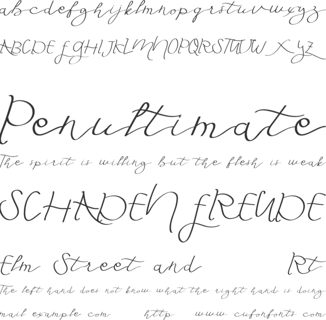 Fly Featherdemo font preview