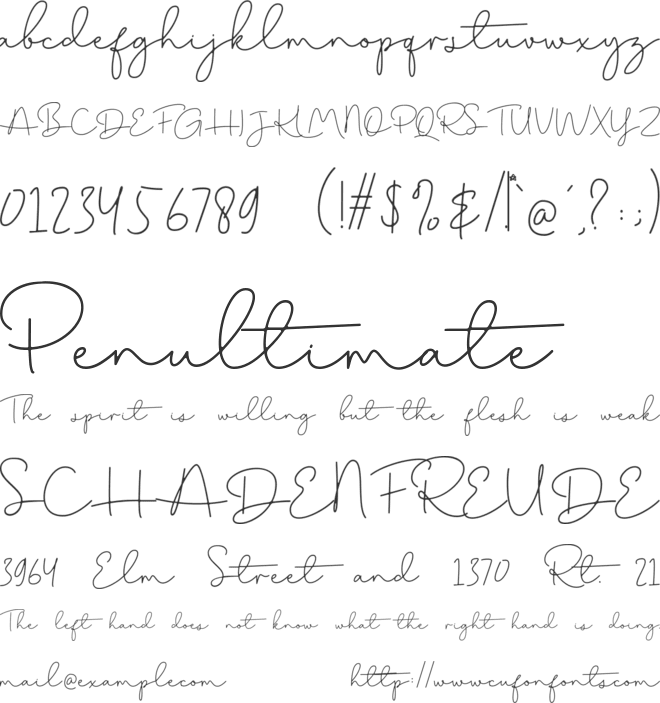 Shopping_Font_Script font preview