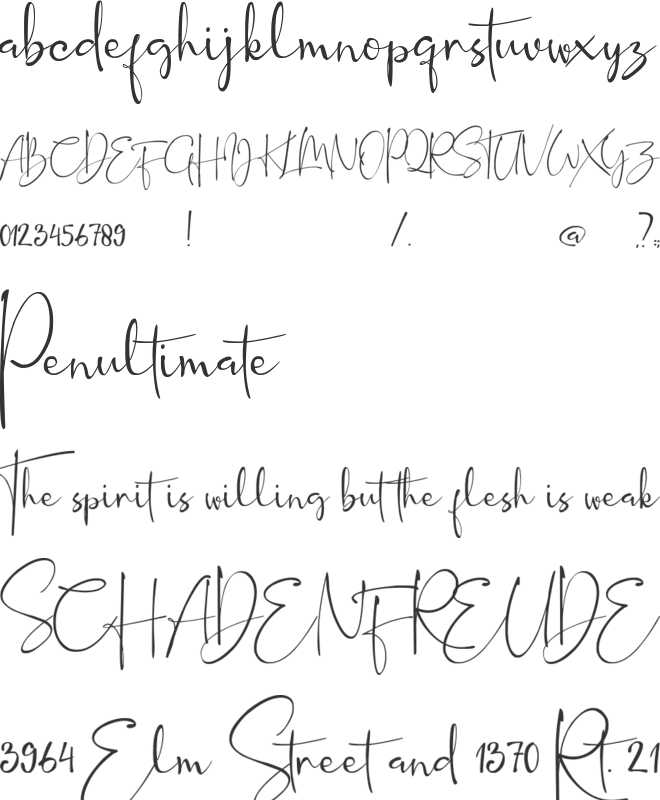 Syaquita font preview