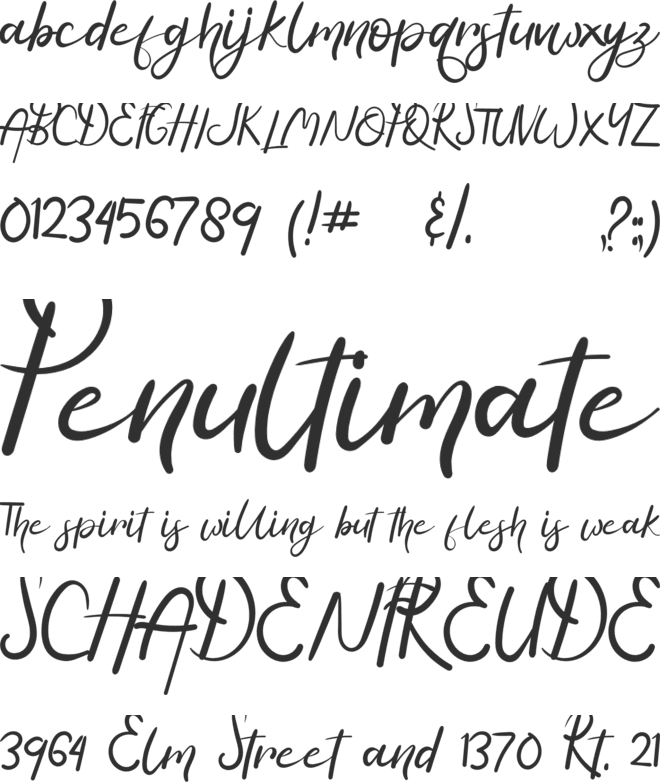 Hasella font preview