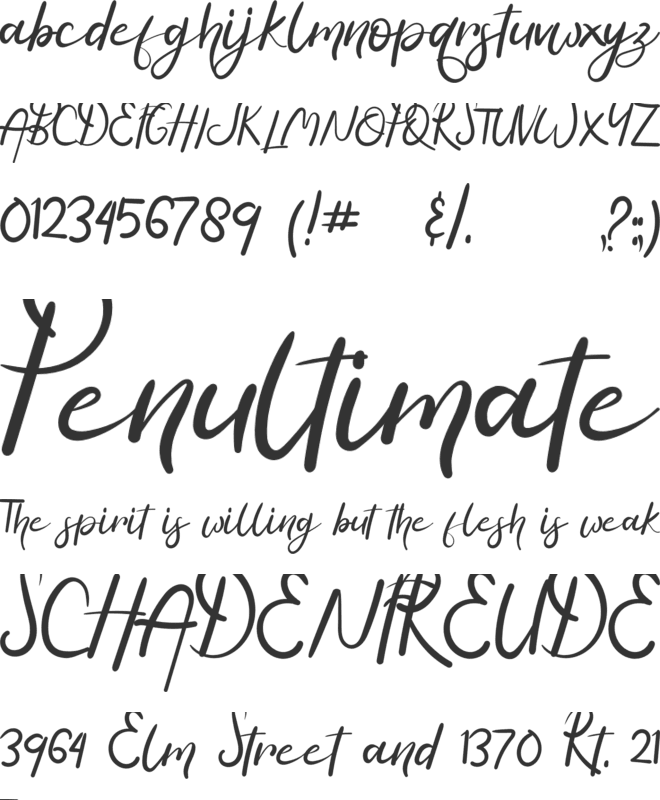 Hasella font preview