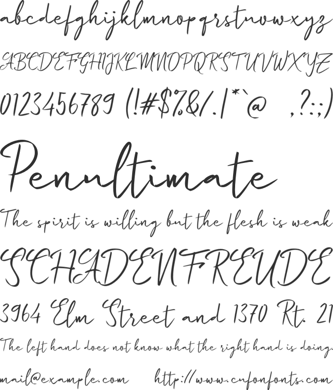 e Eldery Young font preview