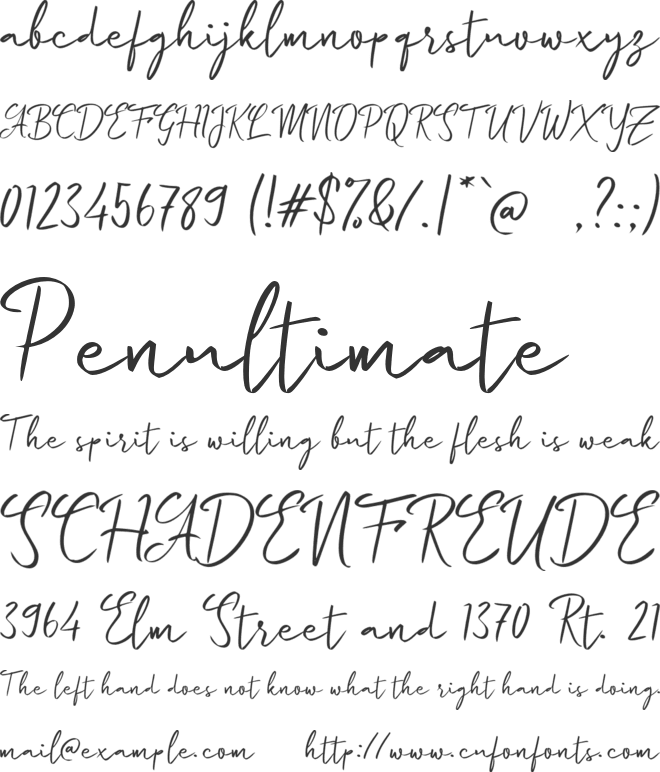 e Eldery Young font preview