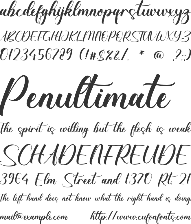 Charli Braelynn font preview