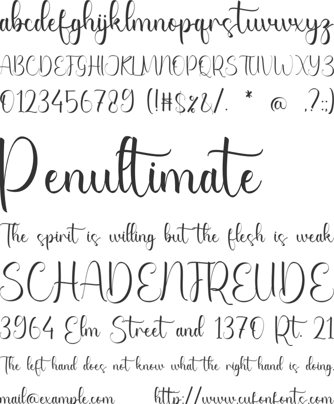 Churchil Penelope font preview