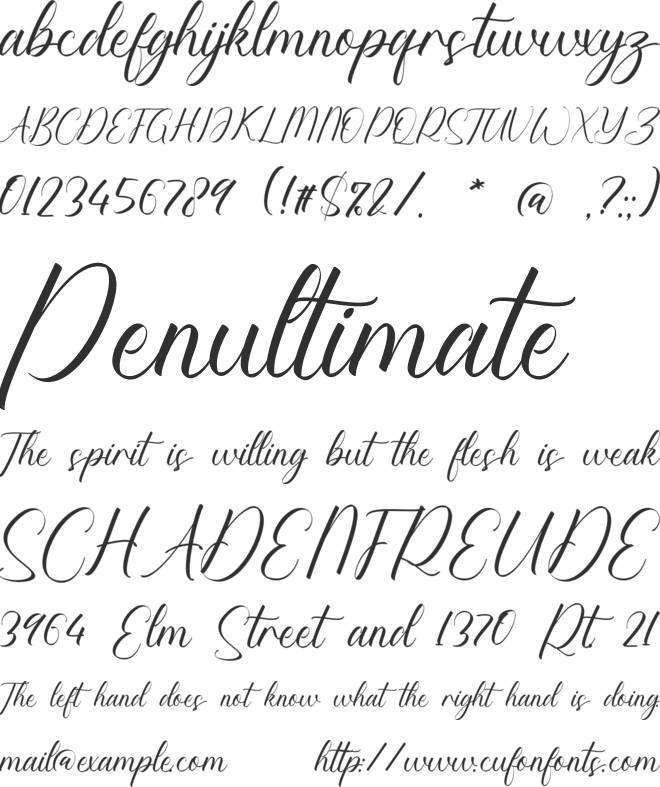 Giovany Chelsea font preview