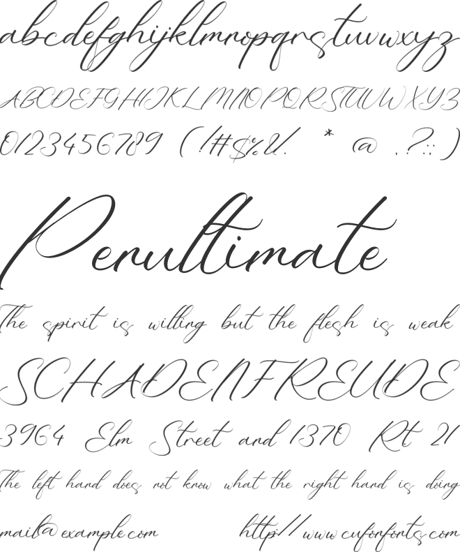 Deborah Raquel font preview