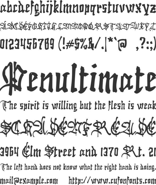 e Elephant Beetle font preview