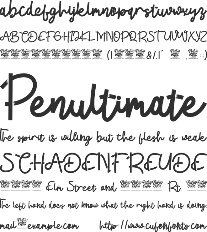 Tropical Beauty font preview