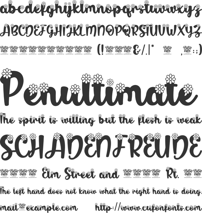 Musim Semi Segar font preview