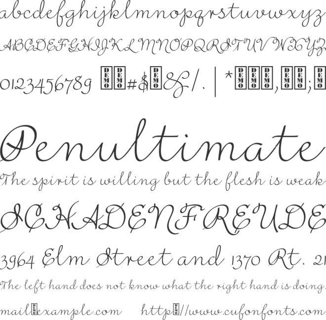 Rufus Script font preview