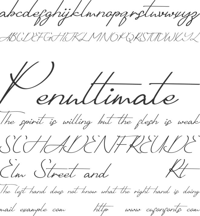 Shotflick Demo font preview