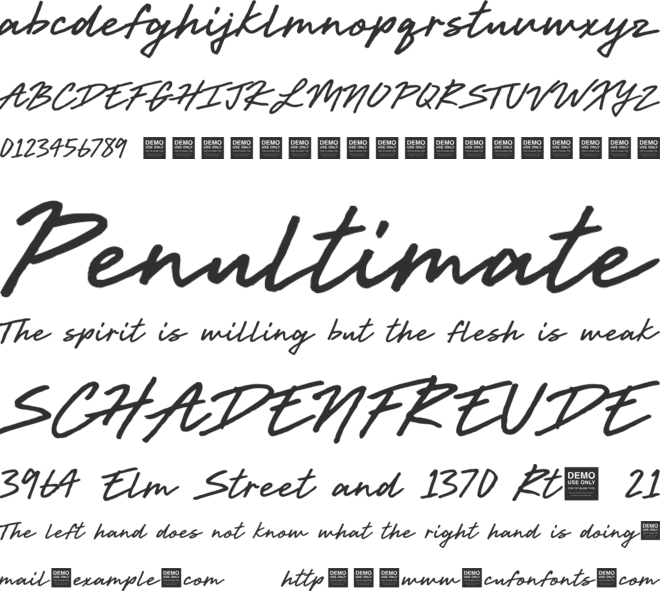 Live Wire - Demo font preview