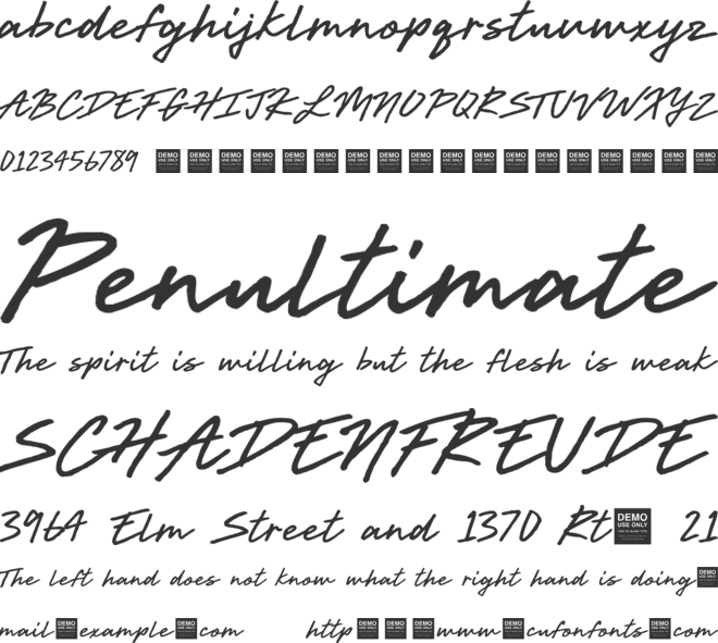 Live Wire - Demo font preview