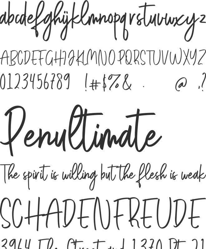 ShinthinkFree font preview