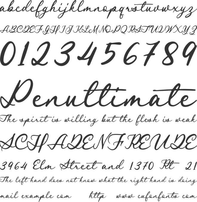 Royal Stamford demo font preview