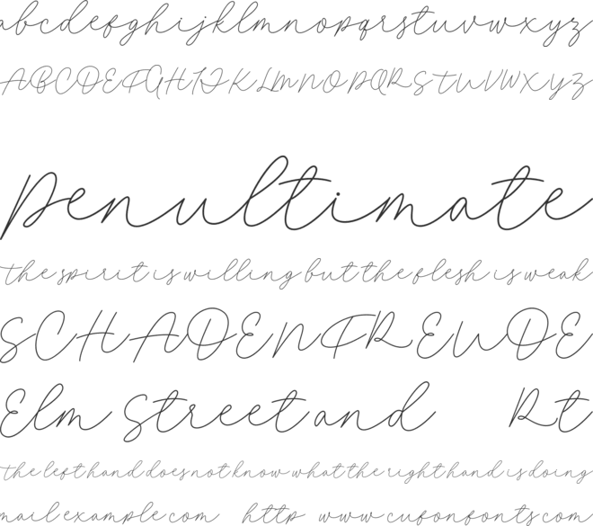 Fillia Script FREE font preview
