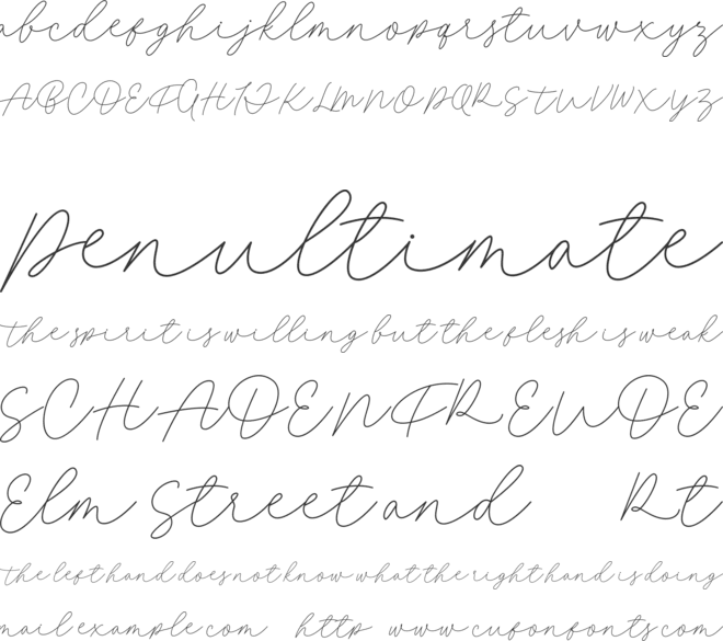 Fillia Script FREE font preview