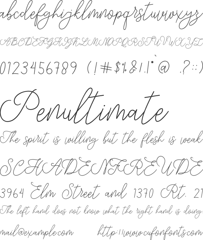 modista script font preview