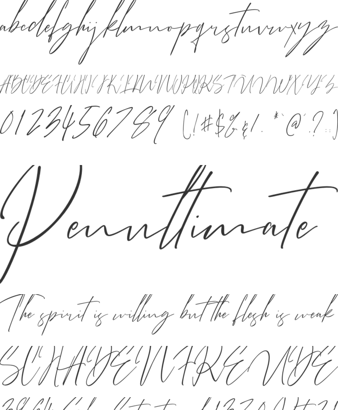 Bitter Mind font preview