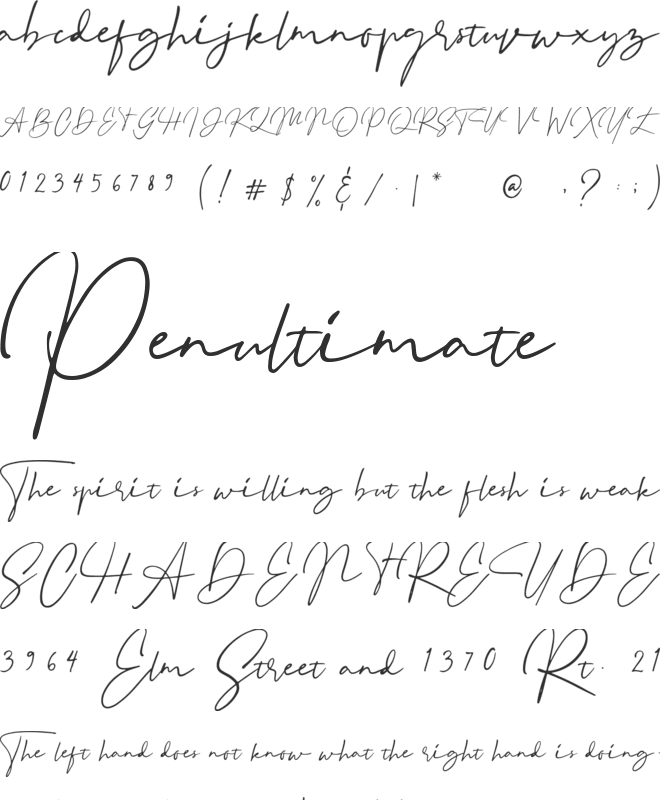 Binetta Signature font preview