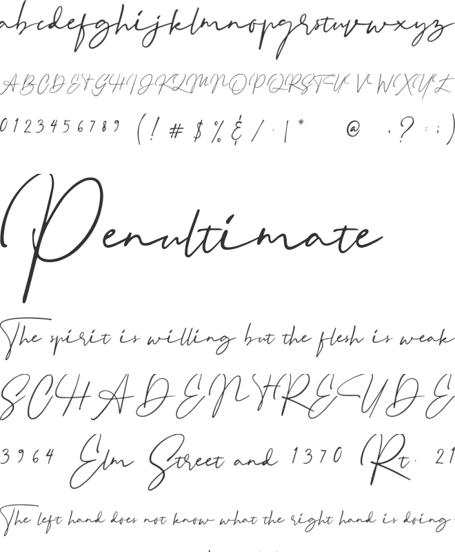 Binetta Signature font preview