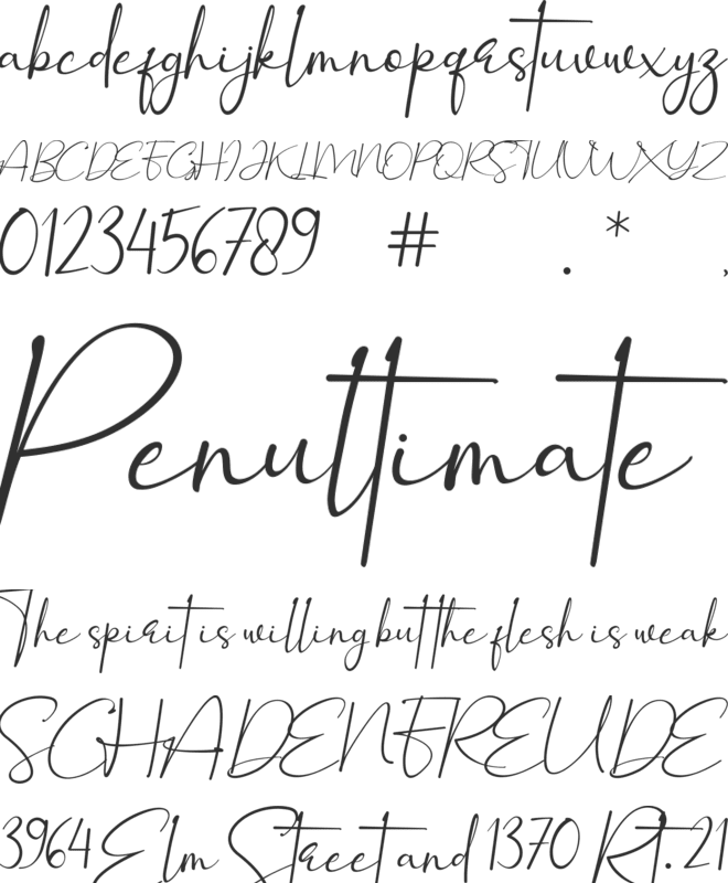 Winstyle Signature Demo font preview