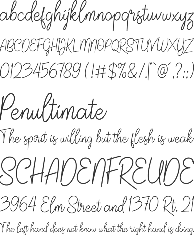 Jalisco Script Demo font preview