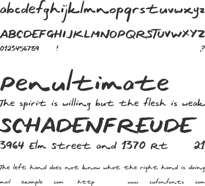 Ocean Coastlines font preview