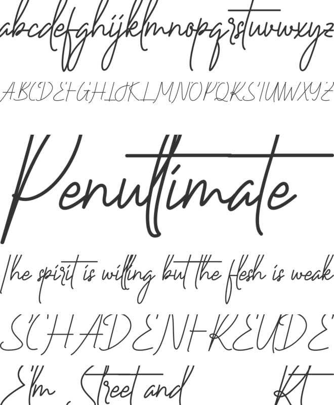 Vineland Demo font preview
