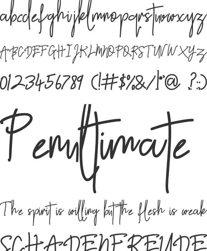 lifetime font preview