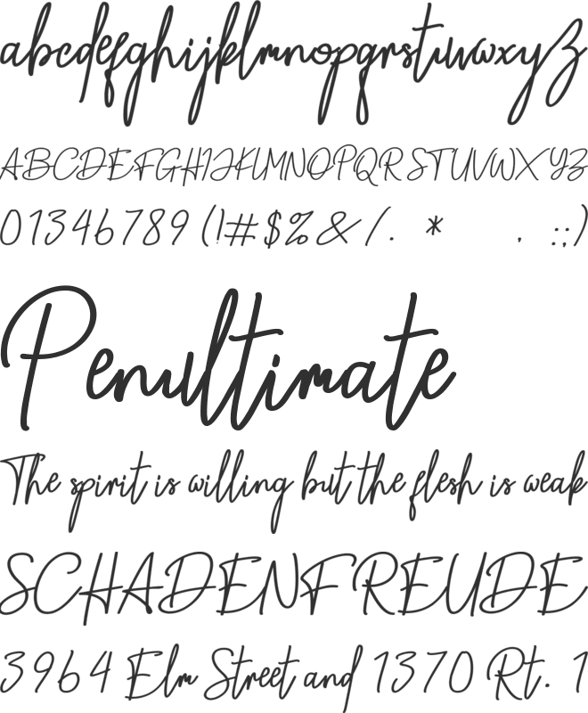Equalizer Script font preview