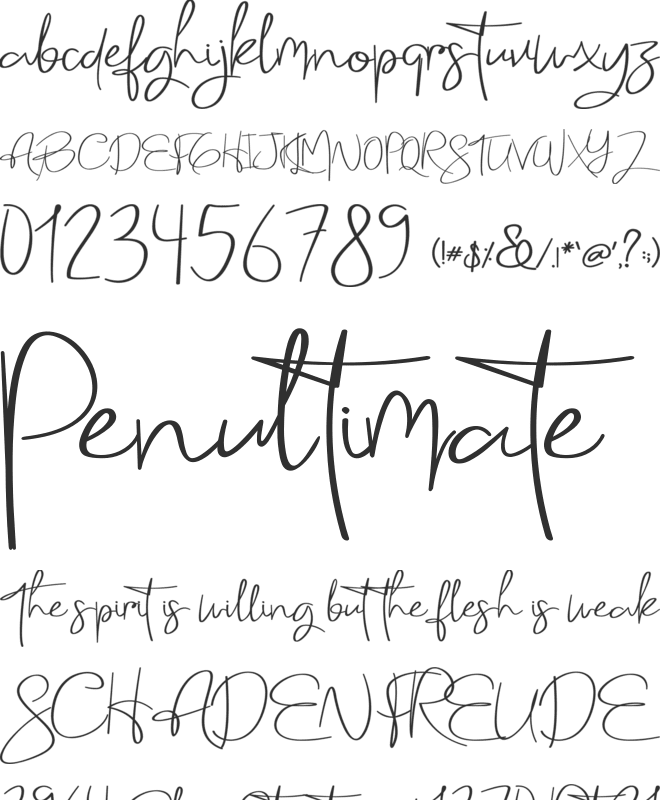 Holmes Signature font preview