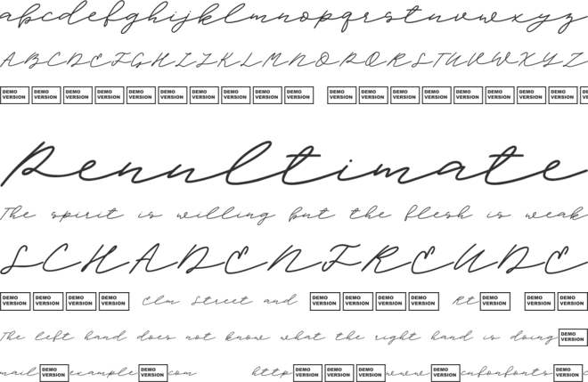 Scandilover Script font preview