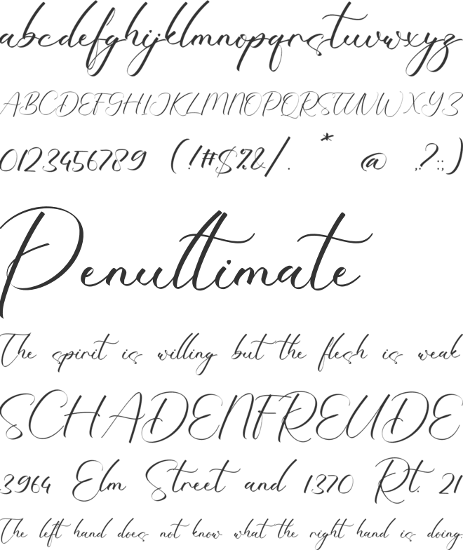 Desirhe Rosetary font preview