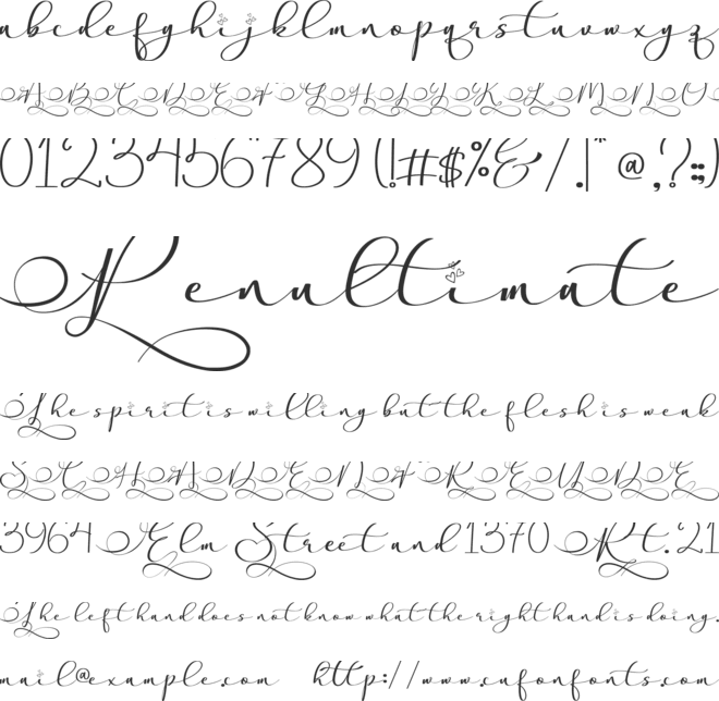Stella Calligraphy font preview