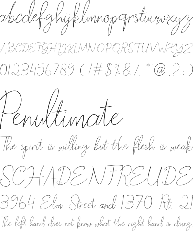 Birthday Script font preview
