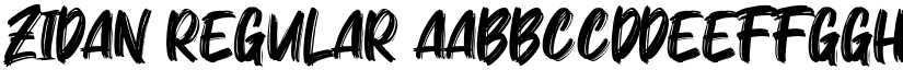 Zidan Regular font