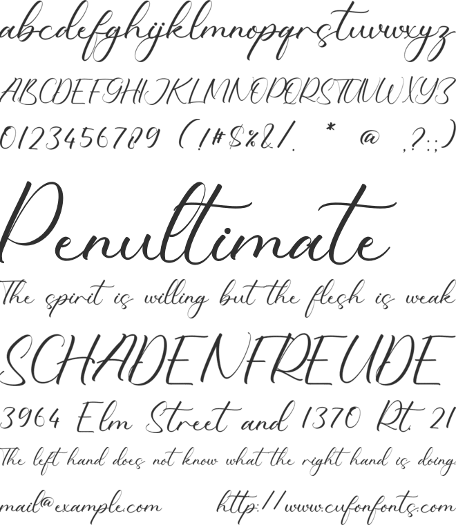 Stephanie Cassidy font preview