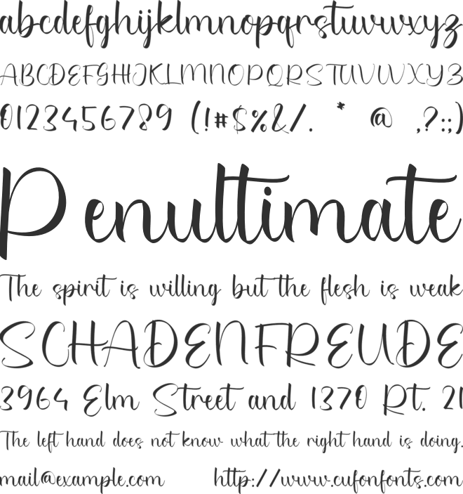 Sydney Charlize font preview