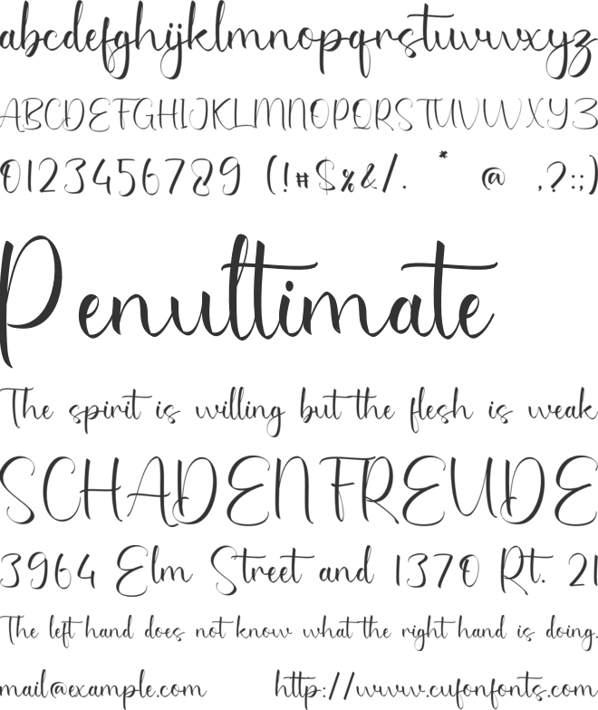 Stormy Natasha font preview