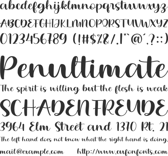 Bulgaria Script font preview