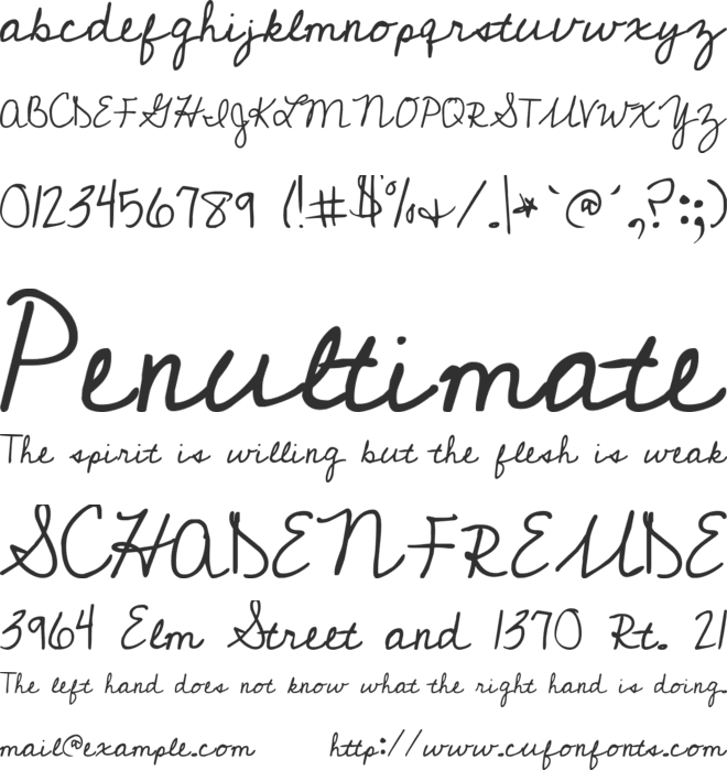 Cedarville Pnkfun1 Cursive font preview