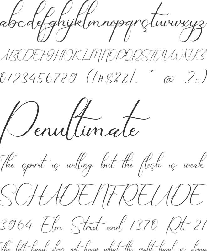 Kaydence Chasity font preview