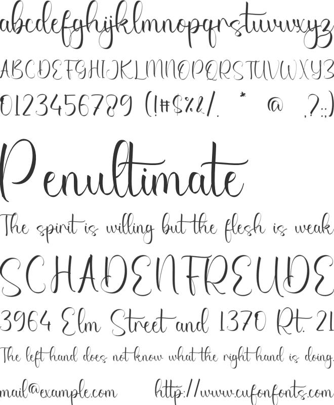 Elsa Artemis font preview