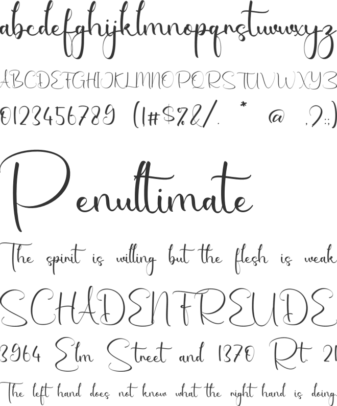 Amaya Katherine font preview