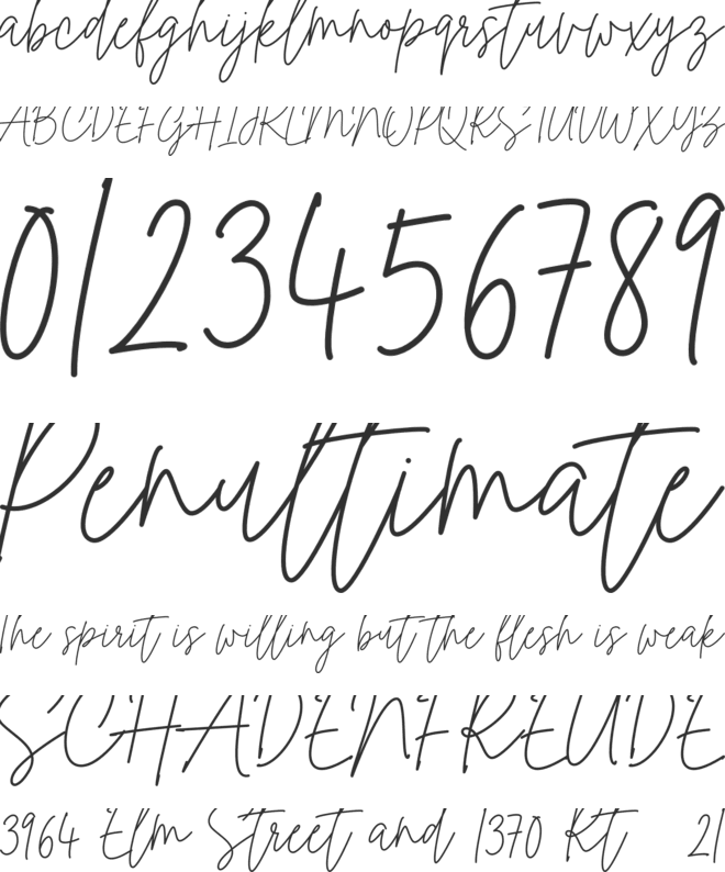 Indiana Signature font preview