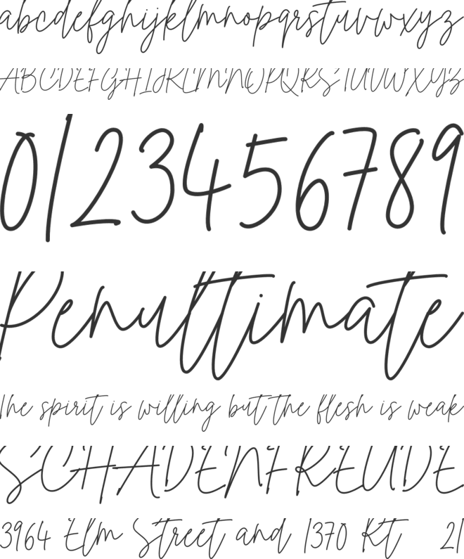Indiana Signature font preview