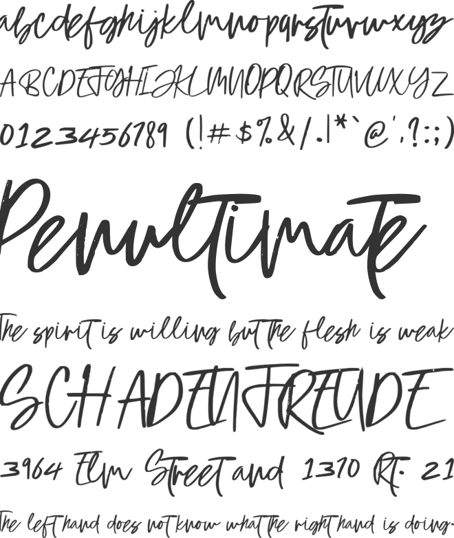 Monday Script Font font preview