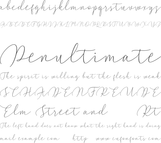 Walty Script font preview